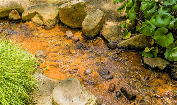 Closeup of small stream in Japanese garden park in Hiroshima, Japan, Asia