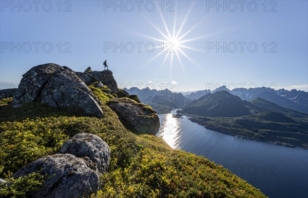 Mountaineer on the summit of Dronningsvarden or Stortinden, behind sea and fjord Umvagsundet, Sonnenstern, Vesteralen, Norway, Europe