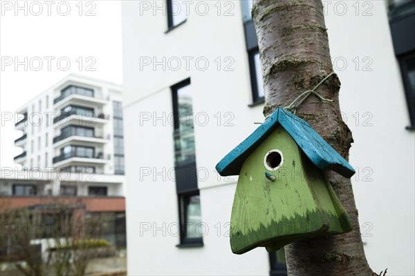 Nesting box in front of apartment block, Freiburg, Baden-Wuerttemberg, Germany, Europe