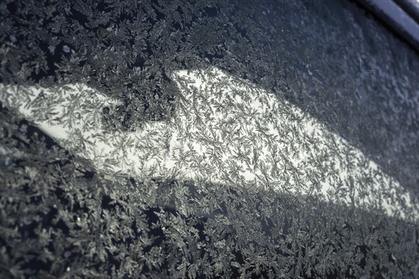 Frost Ice crystals Ice flowers