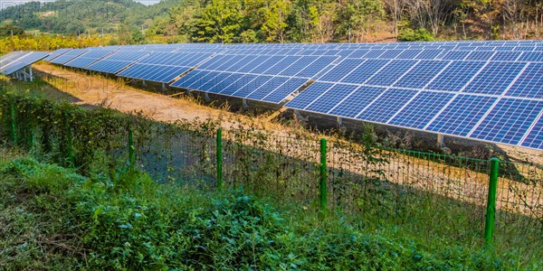 Large solar panel array in a woodland park in South Korea