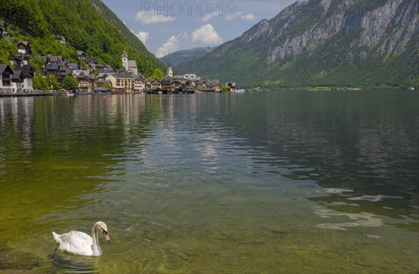 Hallstatt, a charming village on the Hallstattersee lake and a famous tourist attraction, with beautiful mountains surrounding it, in Salzkammergut region, Austria, in summer sunny day, Europe