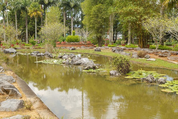 Palm collection in city park in Kuching, Malaysia, tropical garden with large trees, pond with small waterfall, waterlily, gardening, landscape design. Daytime with cloudy blue sky, Asia
