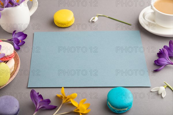 Blue paper sheet mockup with spring snowdrop crocus flowers and multicolored macaroons on gray pastel background. Blank, business card, side view, copy space, still life. spring concept