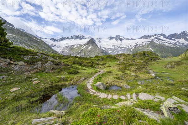 Hiking trail in picturesque mountain landscape, mountain peaks with snow and glacier Hornkees and Waxeggkees, summit Grosser Moeseler and Hornspitzen, Berliner Hoehenweg, Zillertal Alps, Tyrol, Austria, Europe