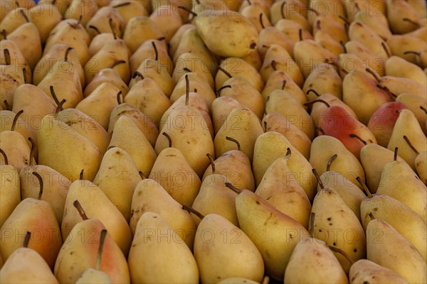 Sale of pears, Oezdere weekly market market, Izmir province, Aegean region, Turkey, Asia