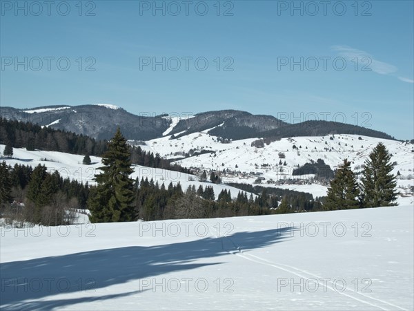 Black Forest near Bernau in winter, Baden-Wuerttemberg, Germany, Europe