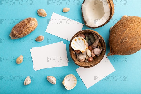 White paper business card with coconut and seashells on blue pastel background. Top view, flat lay, copy space. Tropical, healthy food, vacation, holidays concept