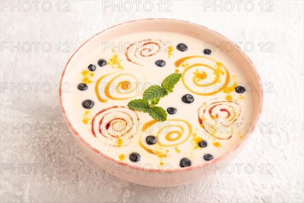 Yoghurt with bilberry and caramel in ceramic bowl on gray concrete background. side view, close up