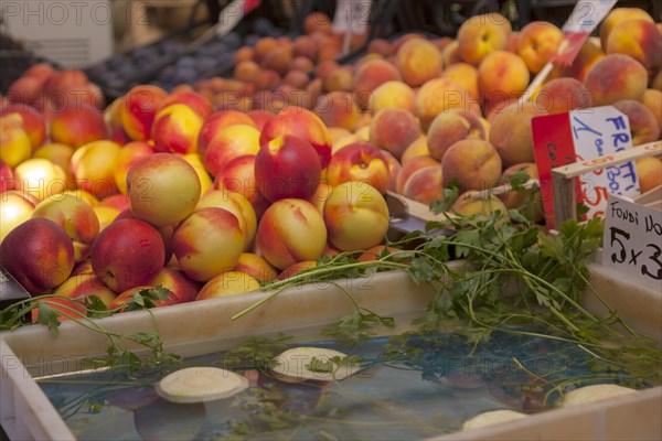 Fruit and vegetable market, Venice, Italy, Europe