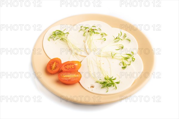 White cheese with tomatoes and cilantro microgreen isolated on white background. side view, close up