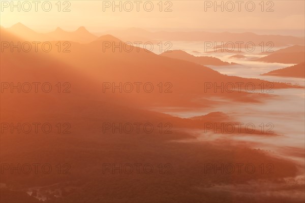 A beautiful sunrise in the Byron Bay Hinterland (east coast of Australia) in NSW. Ground fog in the valley of Wollumbin and Mebbin National Park. View from the Blackbutt Lookout of the Border Ranges National Park. East view towards Byron Bay