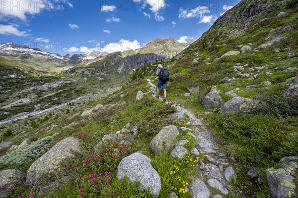 Mountaineers on a hiking trail in front of a picturesque mountain landscape, rocky mountain peaks with snow, valley Zemmgrund with Zemmbach, Berliner Hoehenweg, Zillertal Alps, Tyrol, Austria, Europe