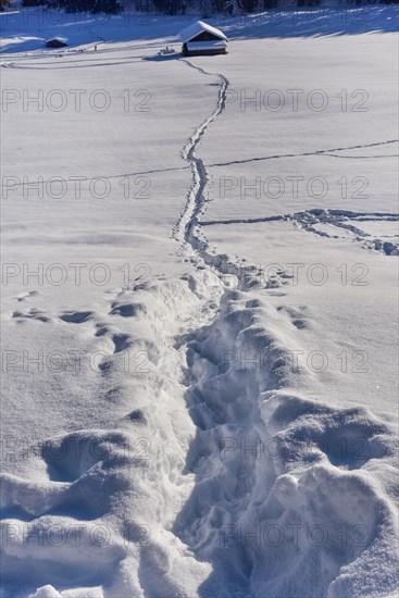 Tracks in the snow in a snow-covered winter landscape in Werdenfelser Land near Garmisch, leading to a mountain hut, Bavaria, Germany, Europe