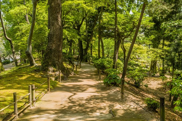 Concrete walking trail through Japanese nature park in Hiroshima, Japan, Asia