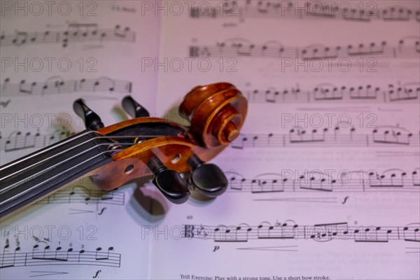 Detailed view of a violin with scroll and pegbox in front of sheet music, selective focus on strings, studio shot, Germany, Europe