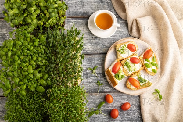 White bread sandwiches with cream cheese, tomatoes and microgreen on gray wooden background and linen textile. top view, flat lay, close up