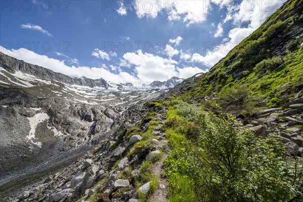 Hiking trail in Bergladnschaft, behind mountain peak and glacier Waxeggkees, Berliner Hoehenweg, Zillertal Alps, Tyrol, Austria, Europe