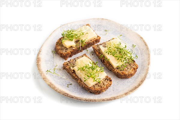Grain bread sandwiches with cheese and watercress microgreen isolated on white background. side view, close up