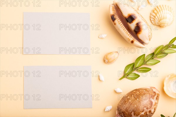 Composition of gray paper business cards, seashells, green boxwood. mockup on orange background. Blank, top view, still life, flat lay, copy space. travel concept