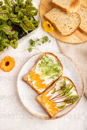White bread sandwiches with cream cheese, calendula petals and microgreen on gray concrete background and linen textile. top view, flat lay, close up