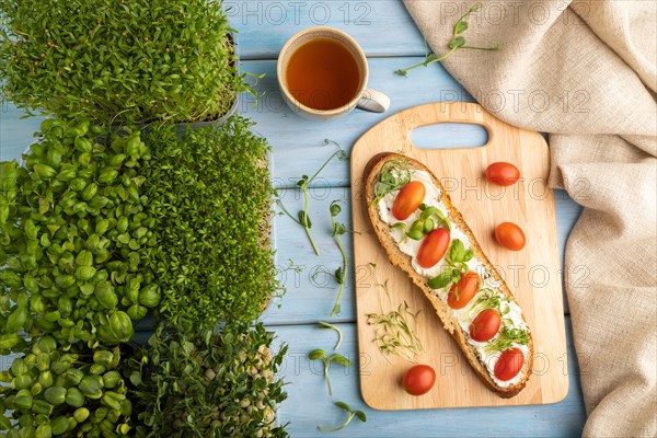 Long white bread sandwich with cream cheese, tomatoes and microgreen on blue wooden background and linen textile. top view, flat lay, close up