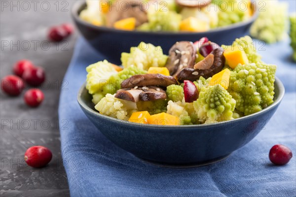Vegetarian salad from romanesco cabbage, champignons, cranberry, avocado and pumpkin on a black concrete background and blue textile. side view, close up, selective focus