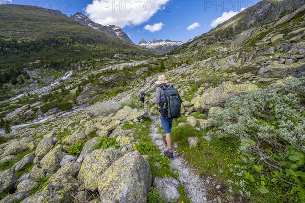 Mountaineers on a hiking trail in front of a picturesque mountain landscape, rocky mountain peaks with snow, behind mountain hut Berliner Huette and rocky mountain peaks, Berliner Hoehenweg, Zillertal Alps, Tyrol, Austria, Europe