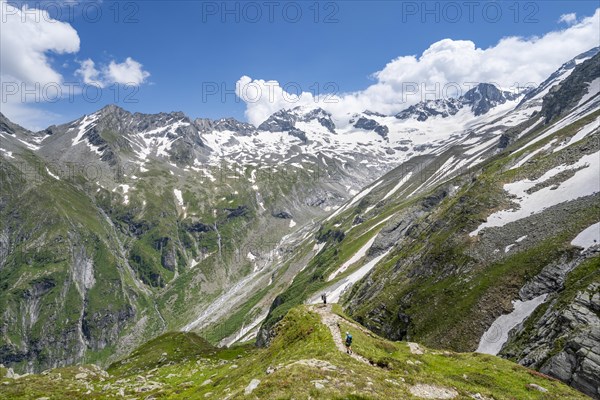 Mountaineer on hiking trail in picturesque mountain landscape, in the background mountain peak Grosser Loeffler and Oestliche Floitenspitze with glacier Floitenkees, valley Floitengrund, Berliner Hoehenweg, Zillertal Alps, Tyrol, Austria, Europe