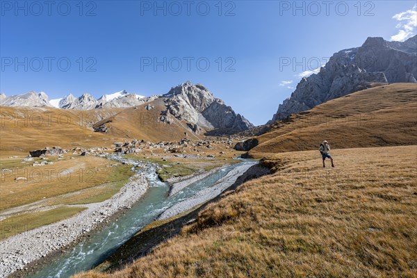 Mountaineer hiking to the mountain lake Kol Suu, mountain landscape with yellow meadows, river Kol Suu and mountain peaks with glacier, Keltan Mountains, Sary Beles Mountains, Tien Shan, Naryn Province, Kyrgyzstan, Asia