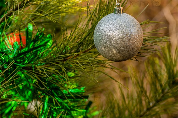 Christmas ornament and green tensile garland hanging on pine tree in local park in South Korea