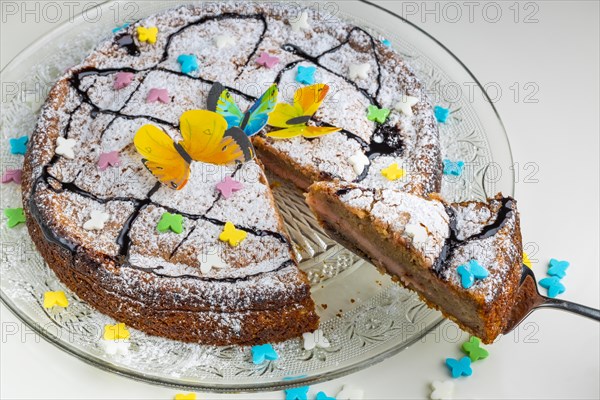 Succulent cake with butterfly decoration and colourful sprinkles on a glass plate, white base