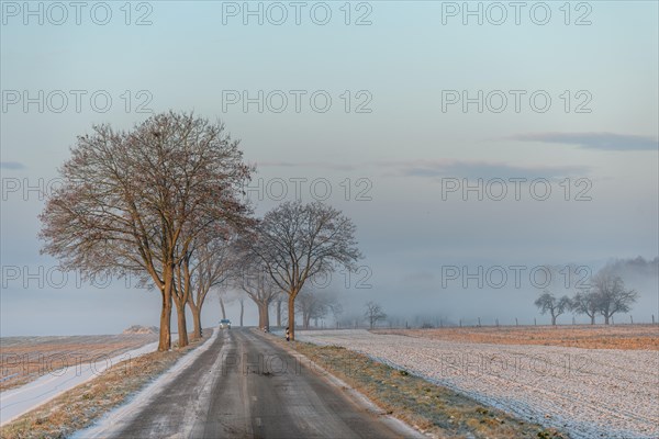 Car on a wet road in the winter months. Bas-Rhin, Alsace, Grand Est, France, Europe