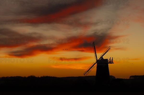 Windmill silhouetted at sunset with a red sky and clouds and three Pink-footed geese (Anser brachyrhynchus) flying above, Burnham Ovary Staithe, Norfolk, England, United Kingdom, Europe