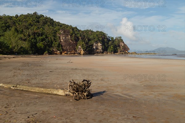 Bako national park, sea sandy beach, sunny day, blue sky and sea. Vacation, travel, tropics concept, no people, Malaysia, Kuching, Asia