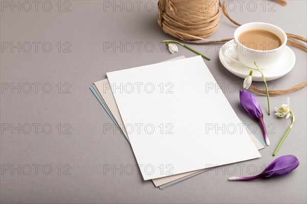 White paper sheet mockup with spring snowdrop crocus and galanthus flowers and cup of coffee on gray background. Blank, business card, side view, copy space, still life. spring concept