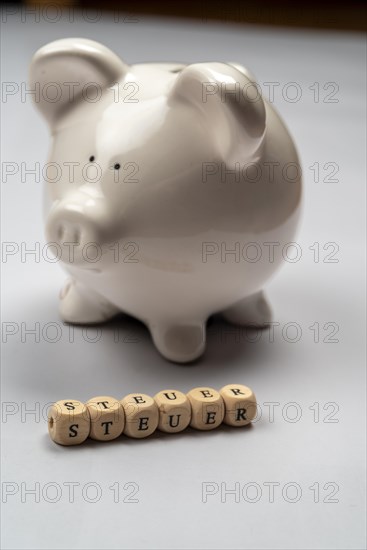 White piggy bank and tax lettering against a white background, studio photo, Germany, Europe