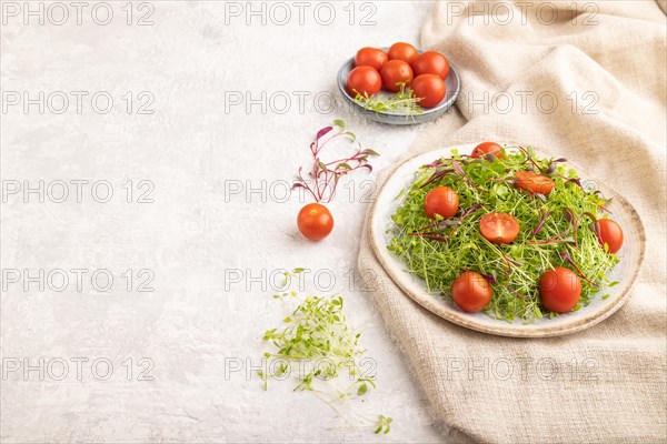 Vegetarian vegetables salad of tomatoes, celery, onion microgreen sprouts on gray concrete background and linen textile. Side view, copy space
