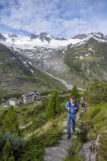 Two mountaineers on a hiking trail in a picturesque mountain landscape with alpine roses, in the background mountain peak Grosser Moeseler with glacier Waxeggkees and mountain hut Berliner Huette, Berliner Hoehenweg, Zillertal Alps, Tyrol, Austria, Europe