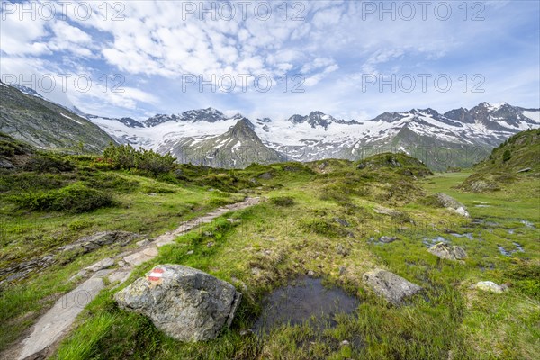 Hiking trail in picturesque mountain landscape, mountain peaks with snow and glacier Hornkees and Waxeggkees, summit Grosser Moeseler and Hornspitzen, Berliner Hoehenweg, Zillertal Alps, Tyrol, Austria, Europe