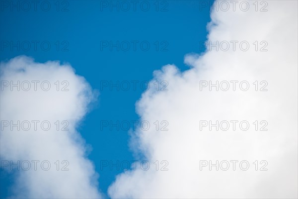 Sharp contrast between white cumulus clouds and the clear blue sky, spring, summer, Lower Saxony, Germany, Europe
