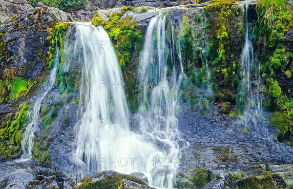 Small picturesque waterfall, white water falling over moss-covered rocks, motion blur, long exposure, Dynjandisa, Westfjords, Iceland, Europe