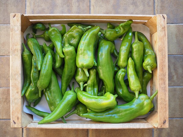 Green peppers in crate