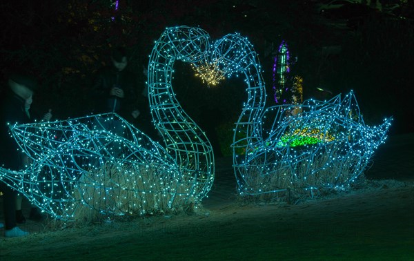 Two swan figurines made of wire and white Christmas lights kissing in a public park in Yeosu, South Korea, Asia