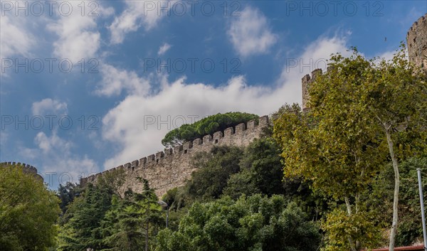 Wall of castle ruins behind treeline against blue partly cloudy sky in Istanbul, Tuerkiye