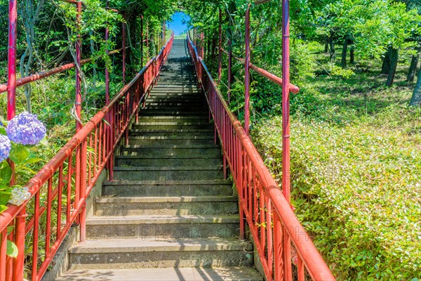 Concrete stairs with iron railings through trellis covered with lush foliage