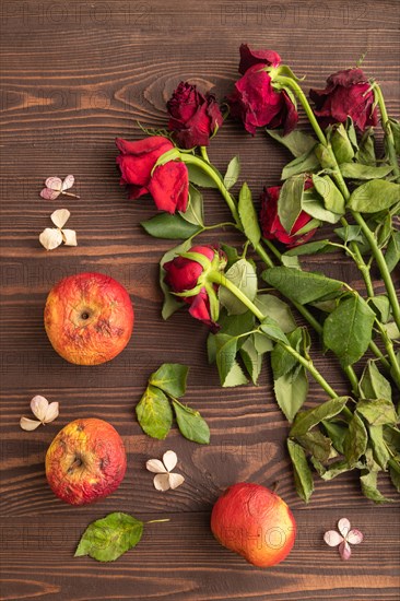 Withered, decaying, roses flowers and apples on brown wooden background. top view, flat lay, close up, still life. Death, depression concept
