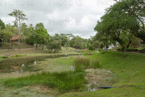 City park in Kuching, Malaysia, tropical garden with large trees and lawns, gardening, landscape design, path, lake, Asia