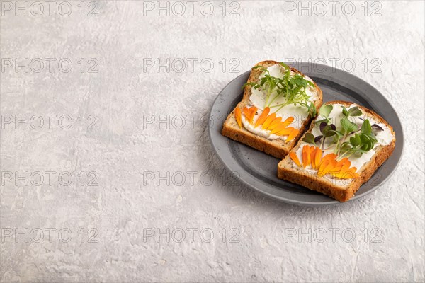White bread sandwiches with cream cheese, calendula petals and microgreen radish and tagetes on gray concrete background. side view, copy space