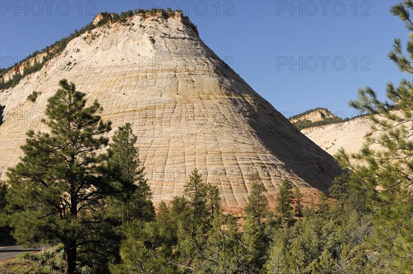 Checkerboard Mesa, sandstone, Zion National Park, Utah, USA, North America